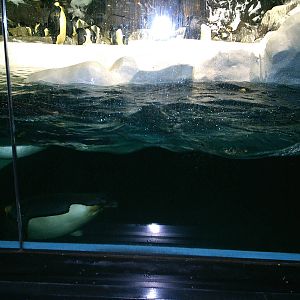 Sea World October 2008