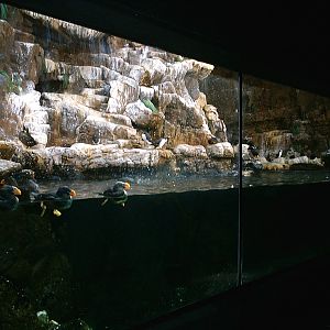 Sea World October 2008