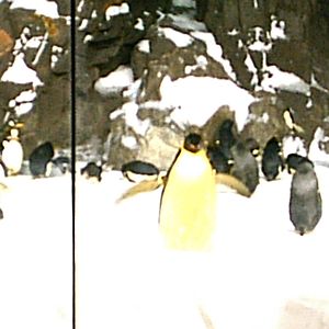 Sea World October 2008