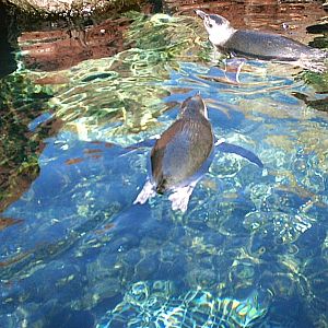 Sea World October 2008