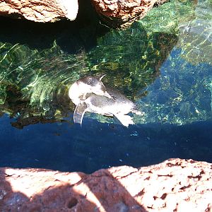 Sea World October 2008