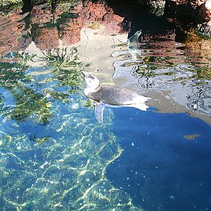 Sea World October 2008