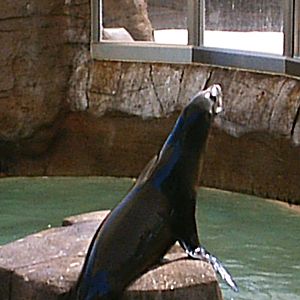 Sea World October 2008