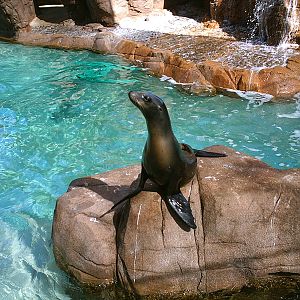 Sea World October 2008