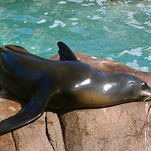 Sea World October 2008