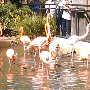 Sea World October 2008