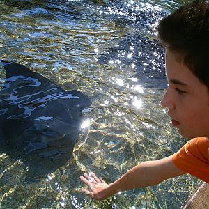 Sea World October 2008