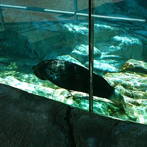 Sea World October 2008