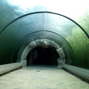 ZOOM - Barrow Tunnel