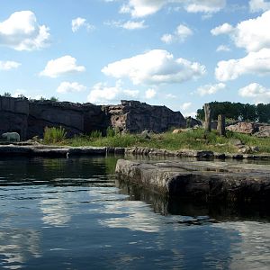 ZOOM - Polar bear exhibit