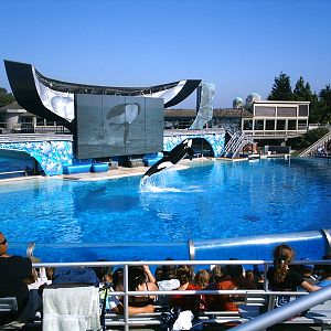 Sea World October 2008