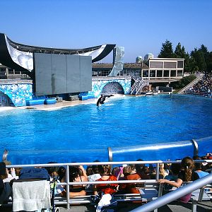 Sea World October 2008