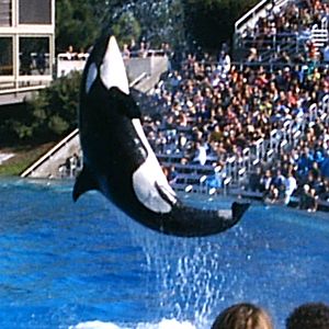 Sea World October 2008