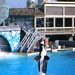 Sea World October 2008