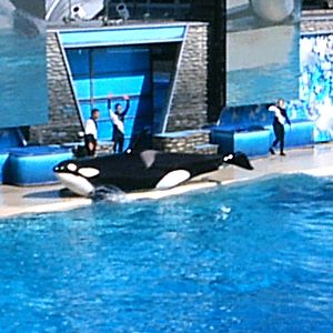 Sea World October 2008