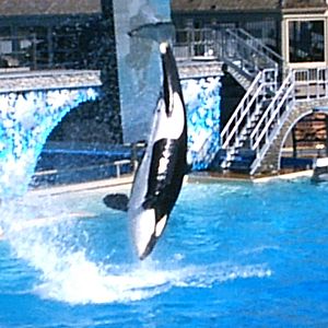 Sea World October 2008