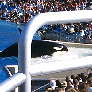 Sea World October 2008