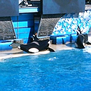 Sea World October 2008