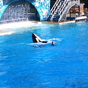 Sea World October 2008
