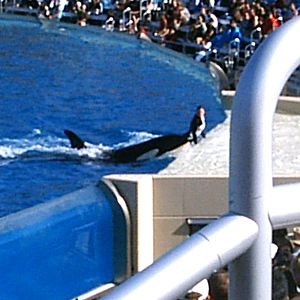 Sea World October 2008