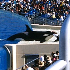 Sea World October 2008