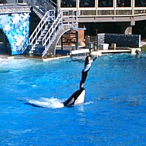 Sea World October 2008