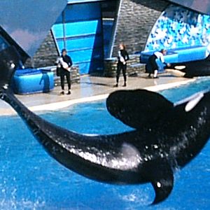 Sea World October 2008