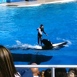 Sea World October 2008