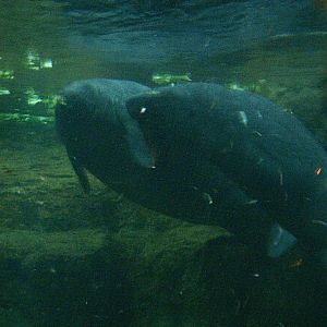 Sea World October 2008