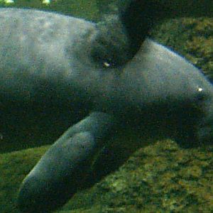 Sea World October 2008