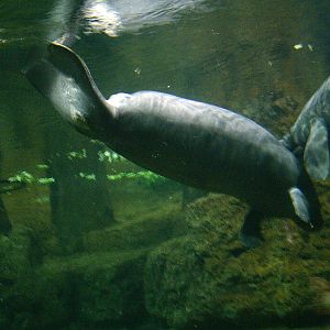 Sea World October 2008