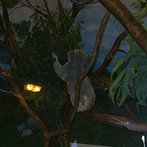 San Diego Zoo October 2008