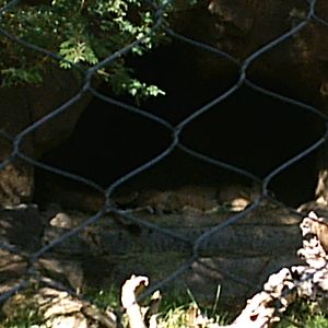 San Diego Zoo October 2008