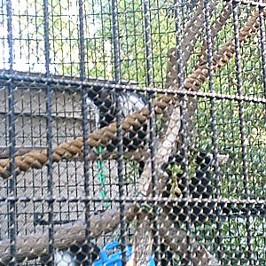 San Diego Zoo October 2008