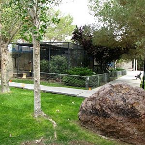 Exotic Feline Center Grounds