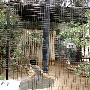Fishing Cat Enclosure