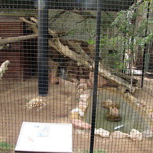 Clouded Leopard Enclosure