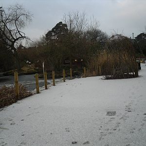 Snow by the lake early 2009