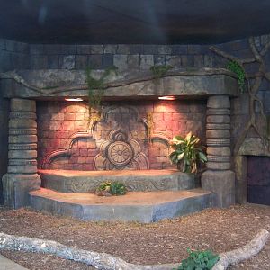 Komodo Dragon exhibit