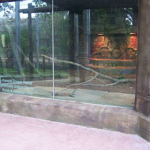 Komodo Dragon exhibit