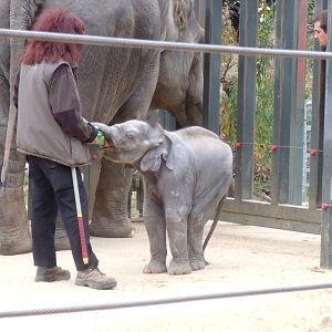 Ganesh Vijay 27 Sept 2009