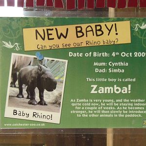 Baby rhino info 13 Oct 2009
