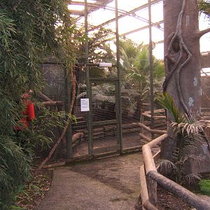 View inside Tropical House