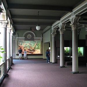 Herpetarium - Interior