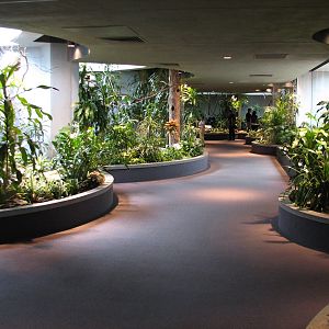 Bird House - Exhibits