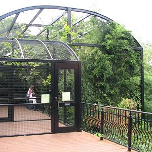 Bird Garden - Walk-in Aviary