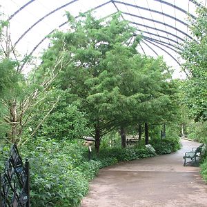 Cypress Swamp - Interior
