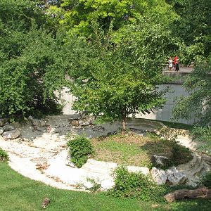 Big Cat Country - Jaguar Exhibit