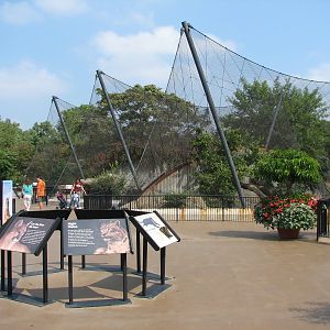 Big Cat Country - Exhibit Plaza