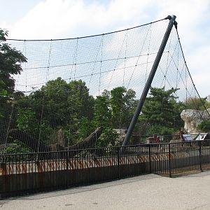 Big Cat Country - Leopard Exhibit
